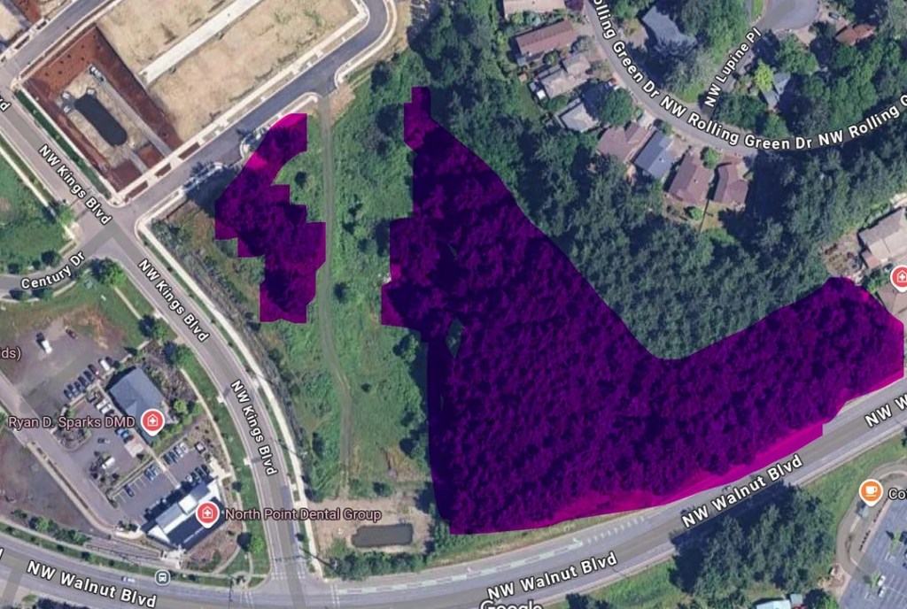 Why Trees Make Way for Housing in&nbsp;Corvallis